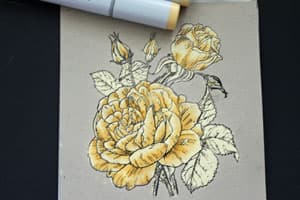 Рисование на отбеленном картоне