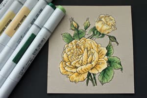 Рисование на отбеленном картоне